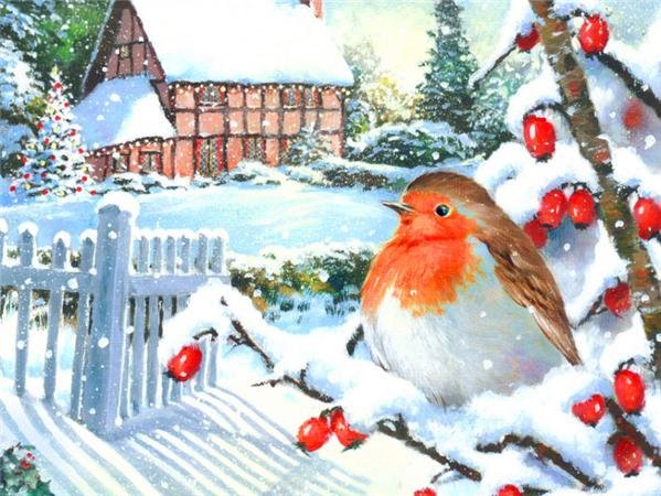 Diamond Art Painting Bird Snow Home Decor Square/round Embroidery Mosaic Animal Winter 5d Diy Wall Sticker