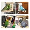 Parrot Mirror with Prickly Ash Wood Perch and Swing Toy