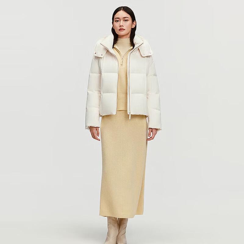 BOSIDENG B250244192 Goose Down Business Casual Jacket