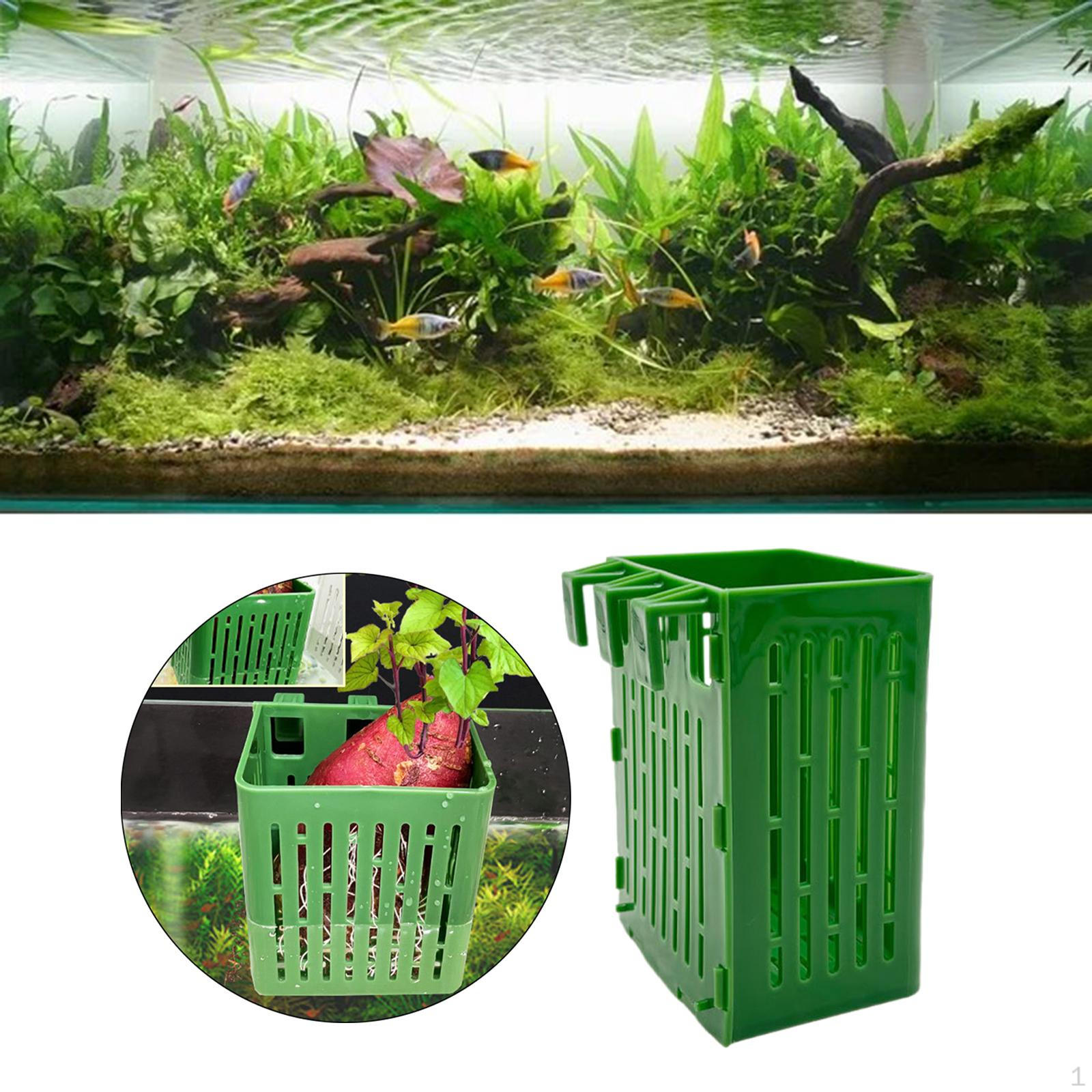 

Держатель для аквариумных растений, подвесной горшок для рыб, украшение для акваскейпа зелёный