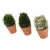 3PCS Artificial Potted Plants Set Plastic Indoor Small Fake Greenery Potted Plants for Home