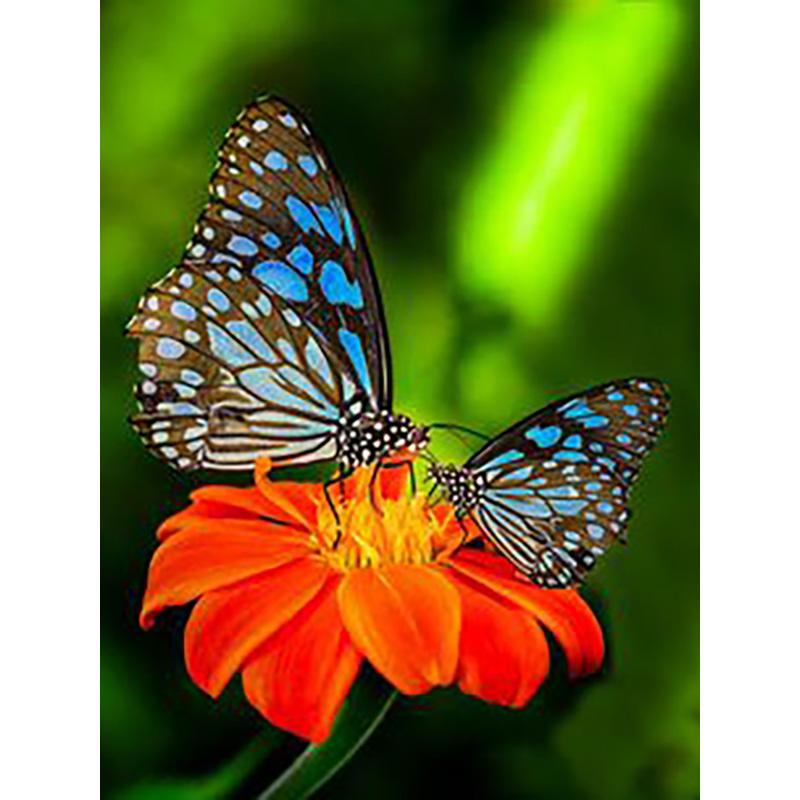 DIY 5D Diamond Painting Butterfly Full Round Drill Floral Diamond Embroidery Cross Stitch Mosaic Wall Art Home Decor Gift