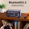 Bluetooth 5.3 TPA3221 Class D Power Mini Amplifier 2.0 Digital Amplifier 100Wx2 200W Home Audio System with PC USB