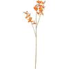 Artificial Bloom Faux Butterfly Orchid 73cm Simulation Flower Artificial Orchid Plant  Wedding