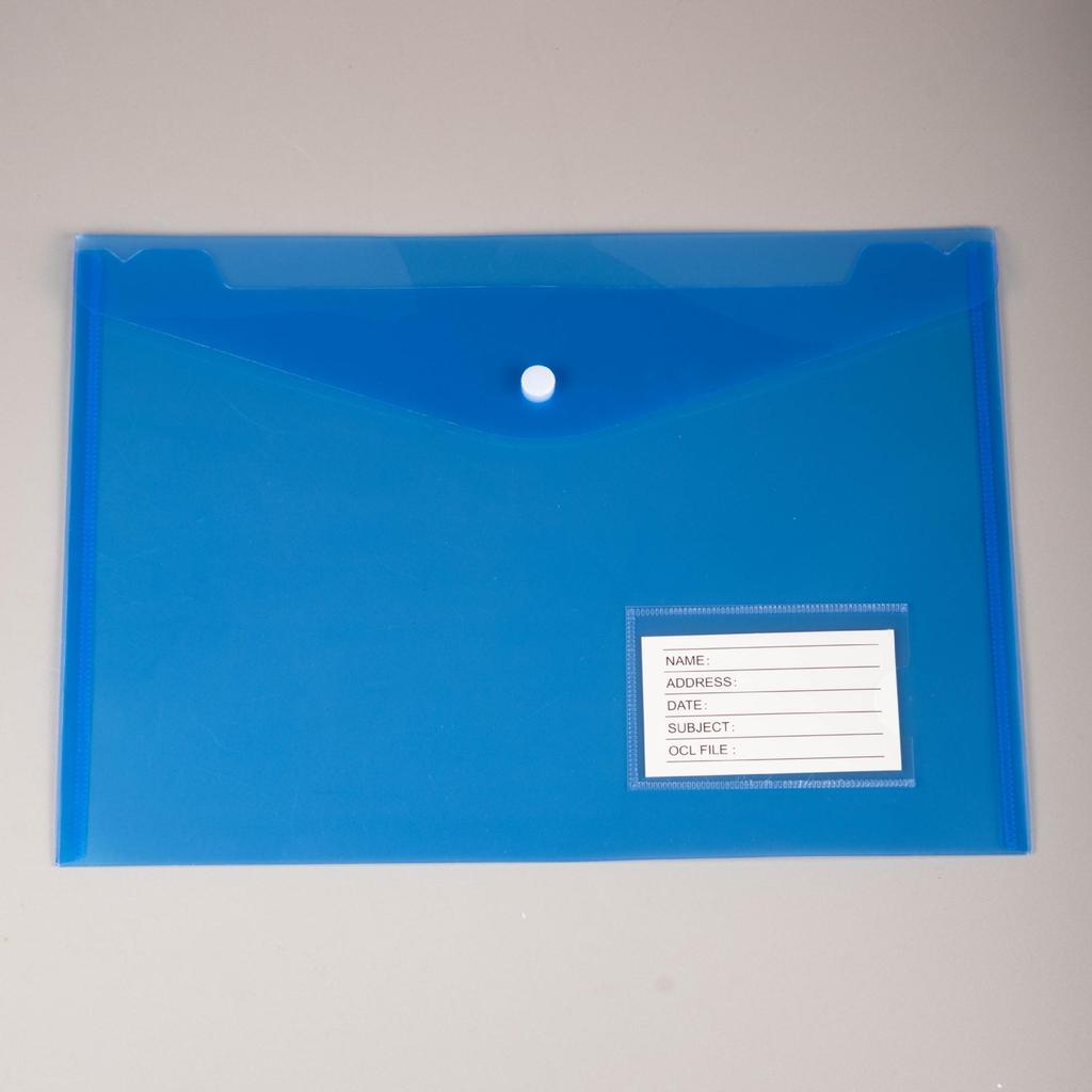 Custom Transparent File Bags with Cartoon Design and Snap Button Closure - A4 & A5 Sizes