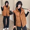 Autumn and Winter Down Cotton Vest Women's Vest Thickened Warm Women's Large Size Cotton Vest Casual Loose Outer Wear Women's Models