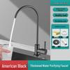 TLXT Stainless Steel Kitchen Water Purifier Faucet