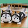 Plüsch-Husky-Hundespielzeug aus kurzem Plüschmaterial für Kinder und Heimdekoration