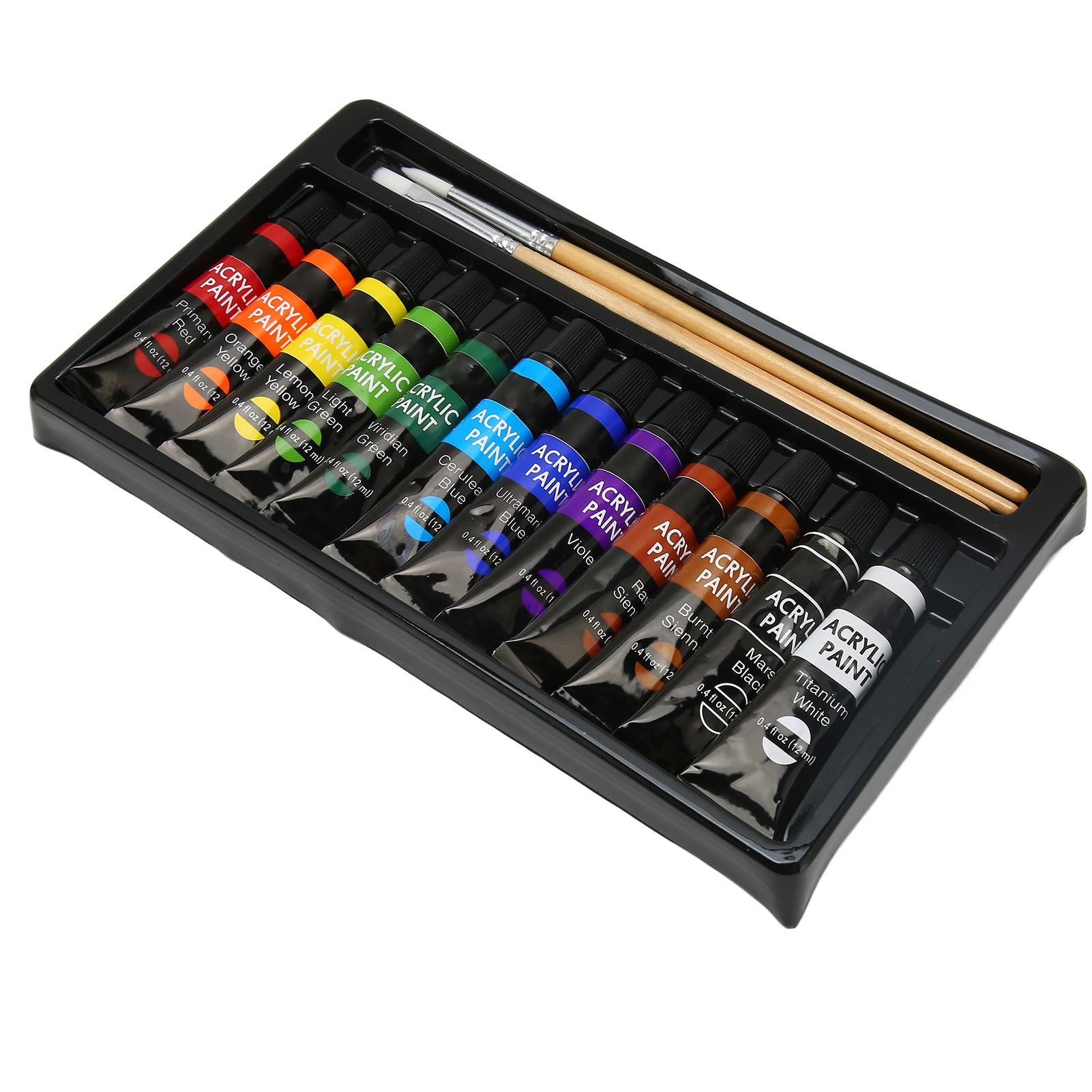 

Acrylic Paint Set 12 Color Art Doodle Acrylic Craft Paint Set with 3 Brushes for Adults Kids