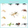 Realistisches Insektenmodell-Set Für Kinder Pädagogisches Und Sammlerstück Spielzeugsammlung