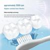 Panasonic EW-DC12 Sonic Electric Toothbrush