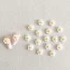 20 Pcs Daisy Nail Charm Flower Decoration Design 3D Nail Art Decal Applique Supplies,Summer Daisy Designs Resin Nail Art Jewelry