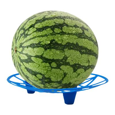 5/10Pcs Watermelon Cradle Anti-Corrosion Pumpkin Support Tray Vegetables Plant Tray for Watermelons Pumpkins Melons Squash