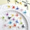 New Trendy Resin Colorful Ice Transparent 3D Fairy Butterfly Nail Art Decorations DIY Wearable Nail Accessories Wholesale