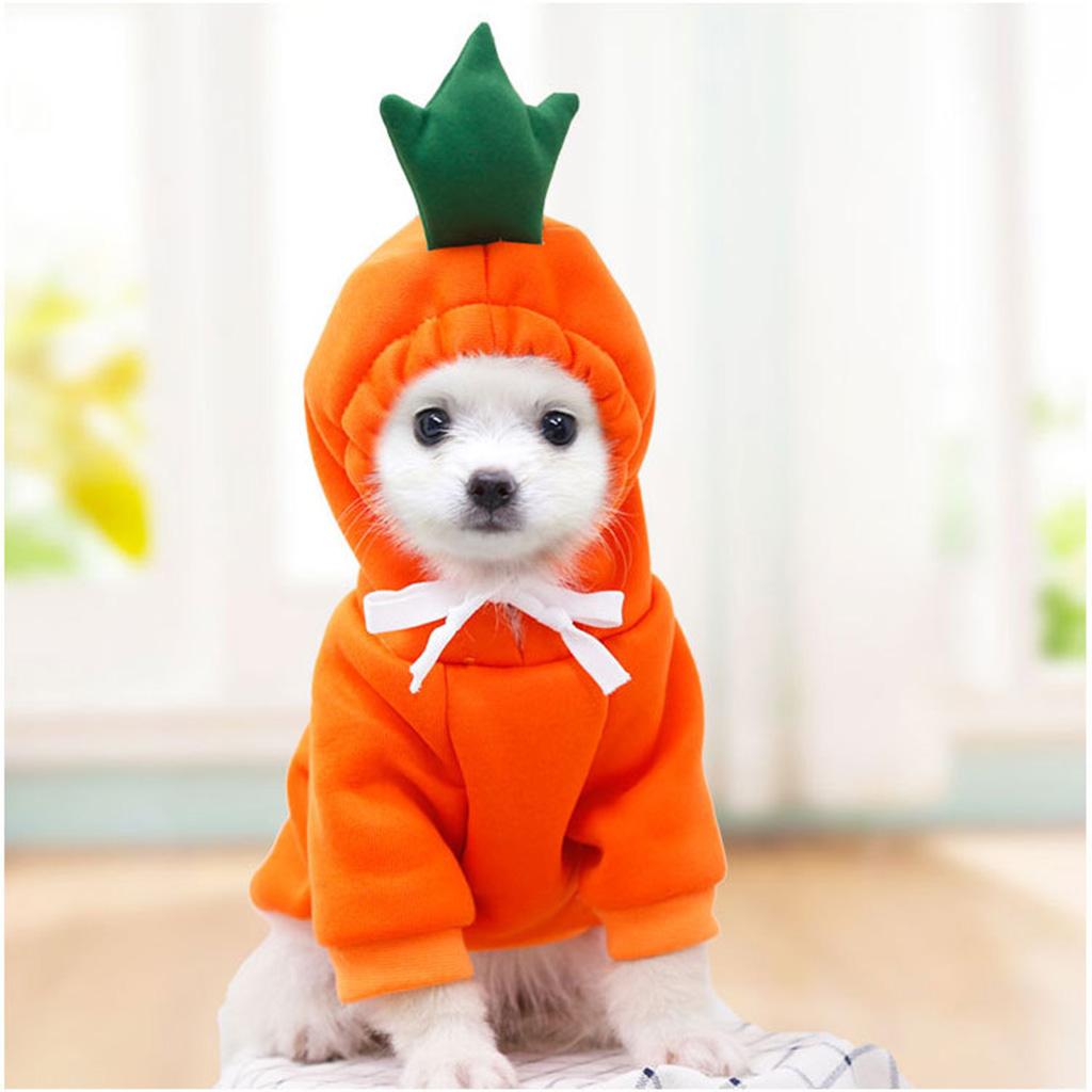 Puppy Kitten Sweaters with Hat for French Bulldog Cute Fruit Shaped Cats Hoodies