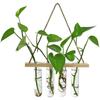 Retro Wood Frame Vase Wall Hanging Transparent Glass Vase Glass Planter Plant Vase  Office