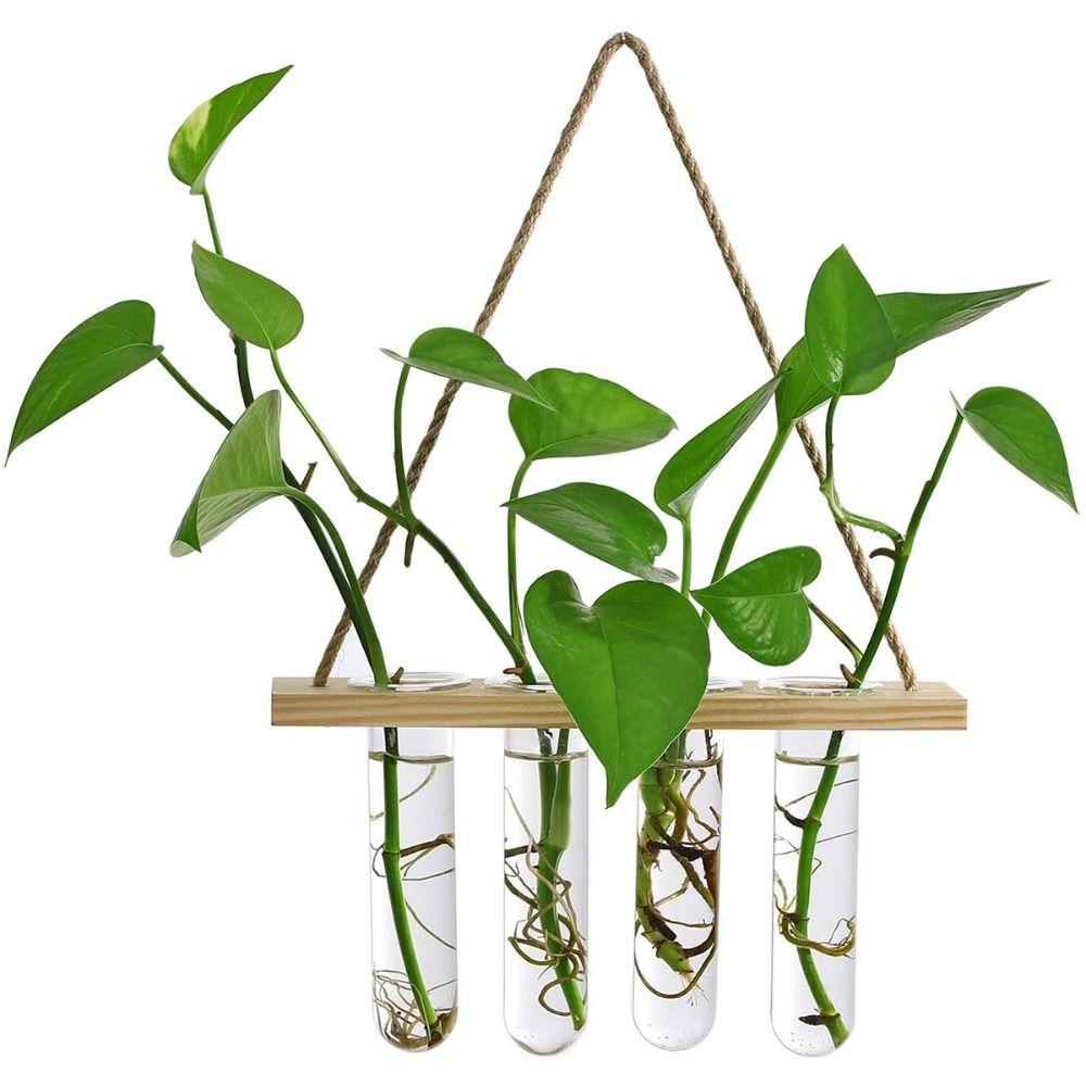 Retro Wood Frame Vase Wall Hanging Transparent Glass Vase Glass Planter Plant Vase  Office