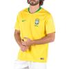 Nike Brazil 2018 Home Fan Version Soccer Jersey Men Tops Yellow 893856-749