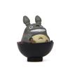 Tea Cartoon Cute Drinking Totoro Mini Model For Micro Landscape Prop Decoration