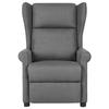 VidaXL Fauteuil Inclinable, Siège avec Accoudoirs et Dossier, Chaise de Relaxation avec Repose-pied, Meuble de Salon, 340949