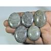 243Cts. Natural Black Fossil Coral Oval Cabochon Loose Gemstone 5 Pcs Lot A-560
