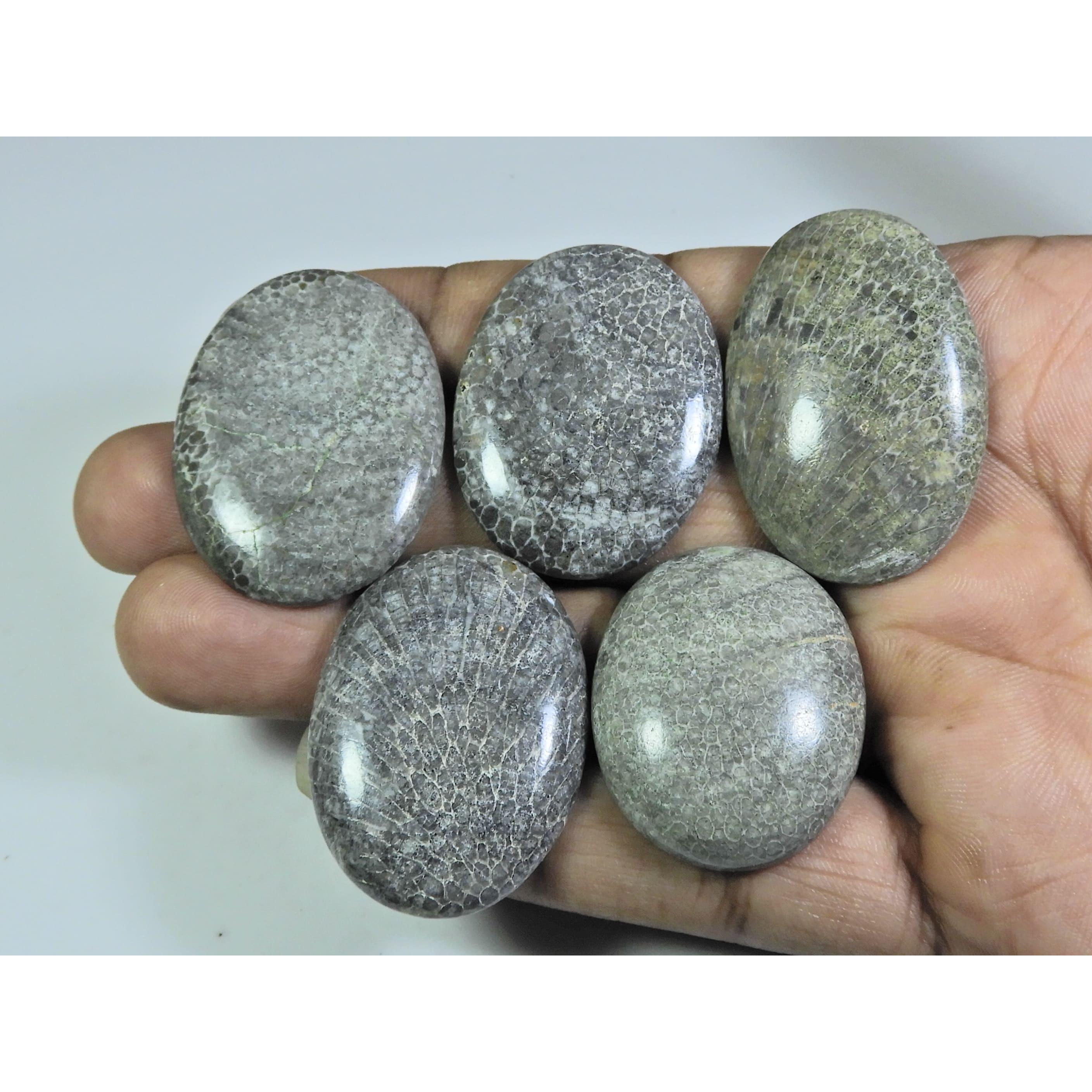 

243Cts. Натуральный черный ископаемый коралл овальный кабошон рассыпной драгоценный камень 5 шт. лот A-560