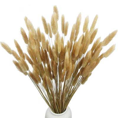 120 pezzi di fiori secchi di coda di coniglio, erba di coda di coniglio eterna naturale secca della pampa per la disposizione del vaso, la decorazione della casa dell'hotel di nozze
