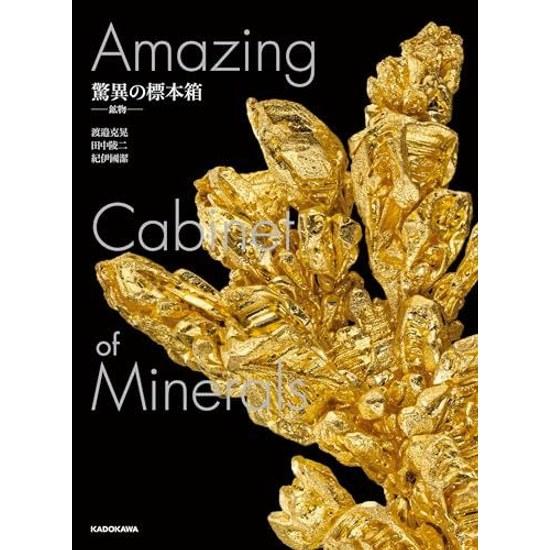 Amazing Specimen Box - Minerals (Kadokawa Shoten Hardcover)