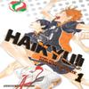 Haikyu Vol. 1 by Haruichi Furudate Paperback Book 9781421587660