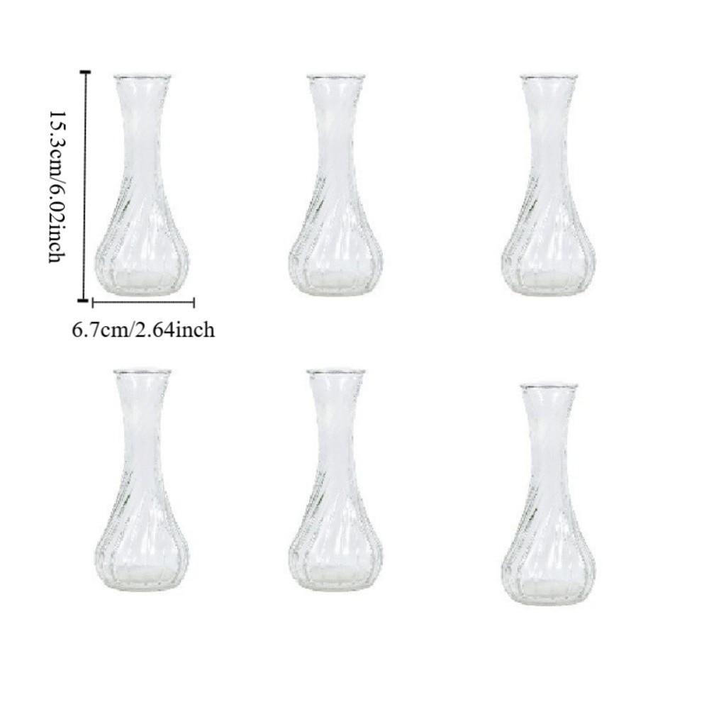 6PCS Vintage Clear Flower Vases Transparent Flower Holder Water Culture Vase  Desktop Adornment