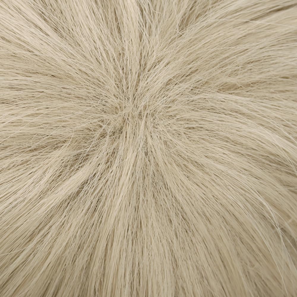 Eileen Nakajima Atsushi Wig from the Anime Bungo Stray Dogs, Heat-Resistant, Perfect for Halloween, Christmas, and School Festivals (Includes Net)