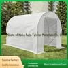 Large Outdoor Walk-in Greenhouse for Seedlings, Flowers, and Vegetables