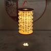 Hanging Chinese Paper Lantern Projected Handheld Lanterns Decorative Flower Lamp  Spring Festival