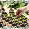 10Grids Cell Nursery Pots for Seedling Starter Tray Biodegradable Pulp Seedling Cup Garden Plant Seedling Germination Tool