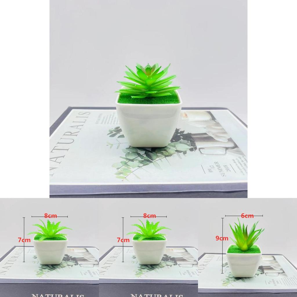 Artificial Succulent Plant With Pvc Material For Home Decor And Gift Ideas