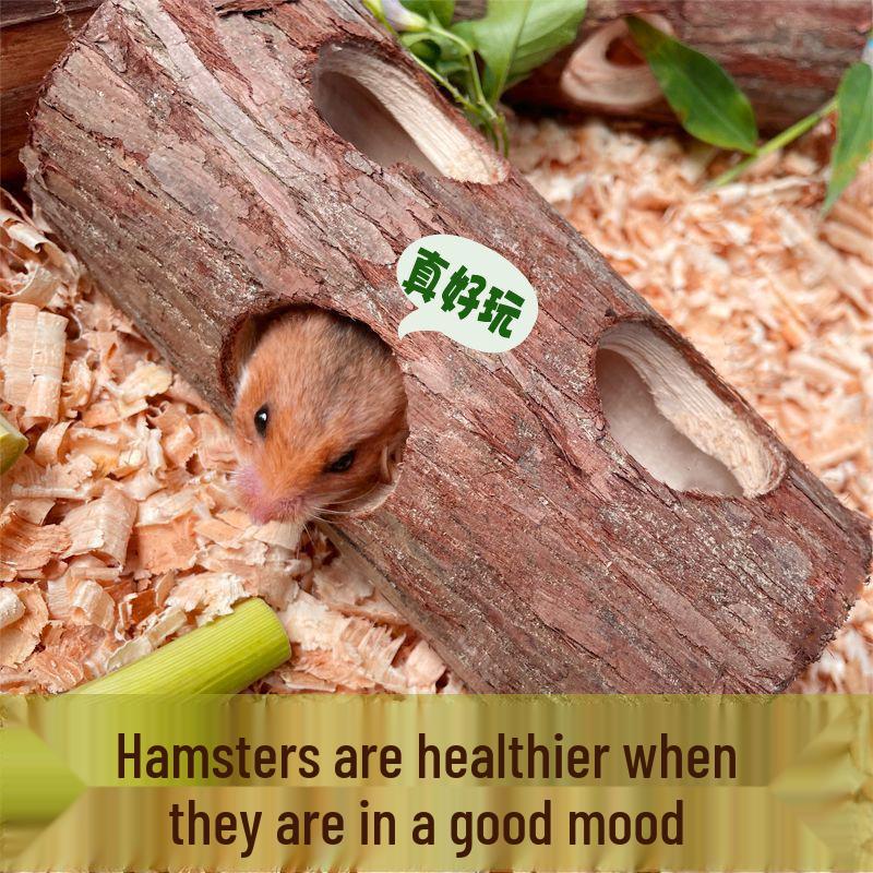 Golden Hamster Solid Wood Tunnel Exercise Toy