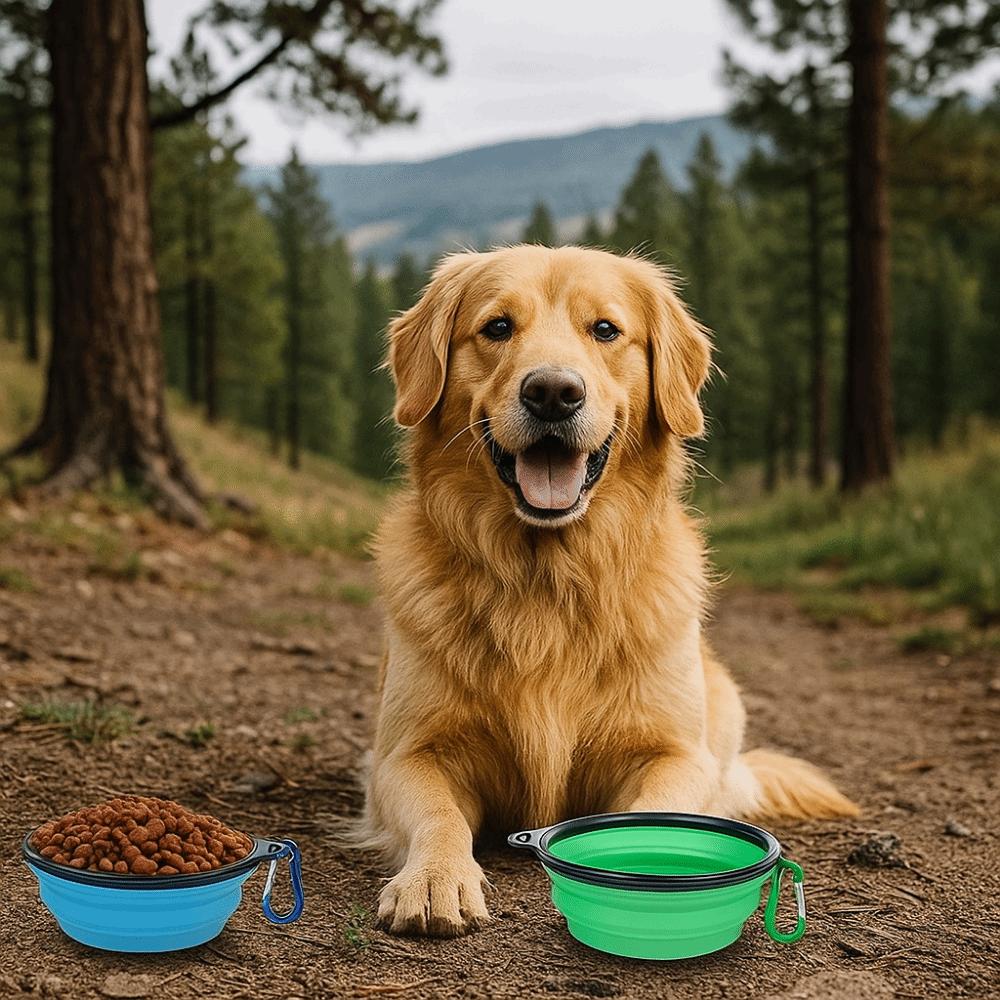 Silikon Faltbare Hundeschüssel Platzsparend Hundefutter Wassernapf Haustier Wasser Futter Schale Reise