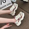 thick-soled Paris silver dad shoes women's summer 2025 new versatile mesh breathable sports casual shoes women's tide