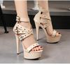 Voesnees Chic High Belt Buckle Sandals 14CM Women Zipper Wedding Shoes 2024 Summer Square Heel Platform Lady Party Models Shoes
