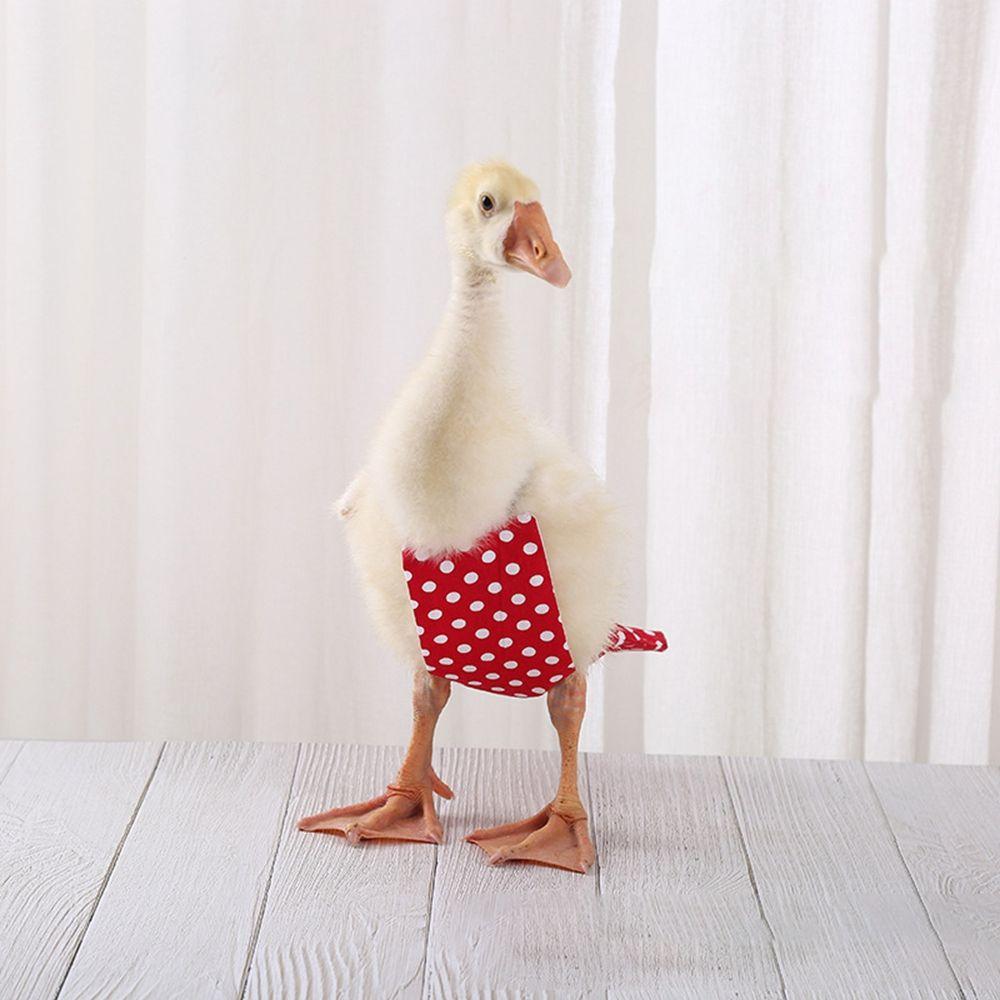 1 Stück Schleife Gans Ente Bauernhof Haustier Henne Huhn Niedlich Windel Stoff Haustierwindel Geflügelkostüm