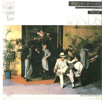 7inch Record WINS  Suteki Na Sensation  Summer Breeze 07SH845 TEE 1980 Japan Japanese PopRock Used