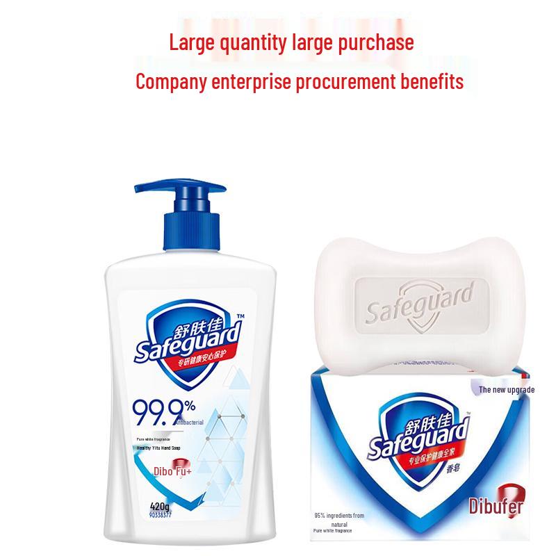 

Safeguard Antibacterial Hand Wash & Soap Set
