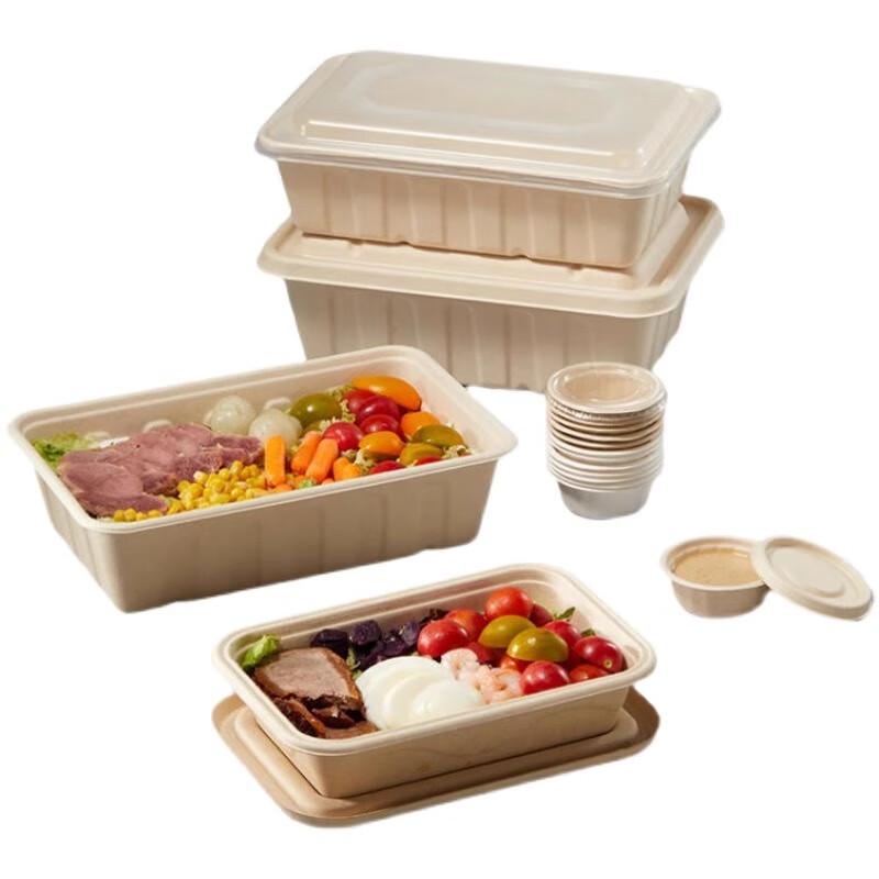 American Style Degradable Pulp Takeout Containers with Lids