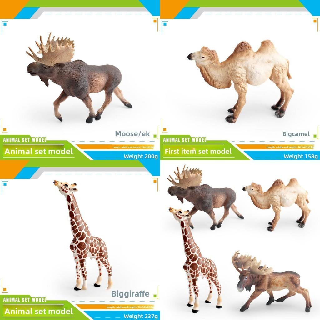 Educational Animal Models Pvc Camel Giraffe Safari Wildlife Figurines Kids Learning Nature Toys