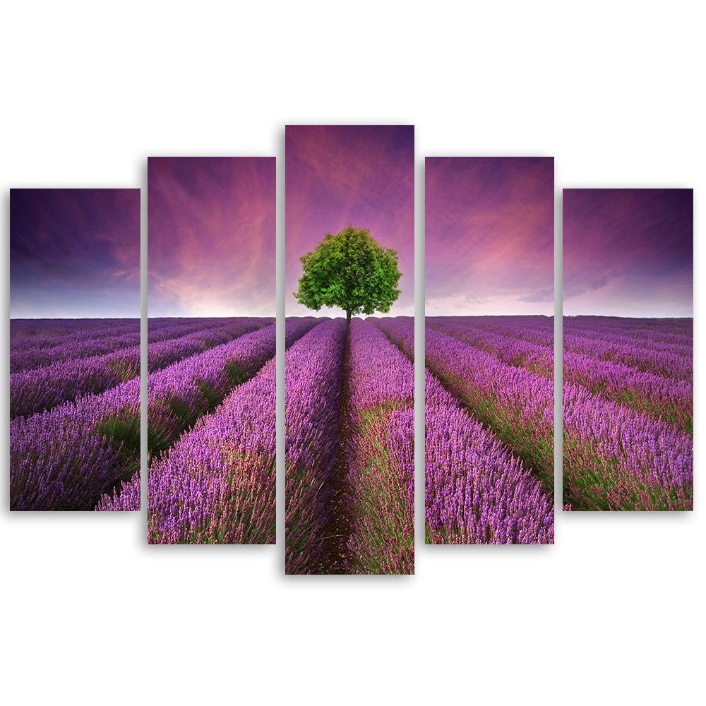 Five Piece Picture Canvas Print Flower Meadow Lavender Landscape