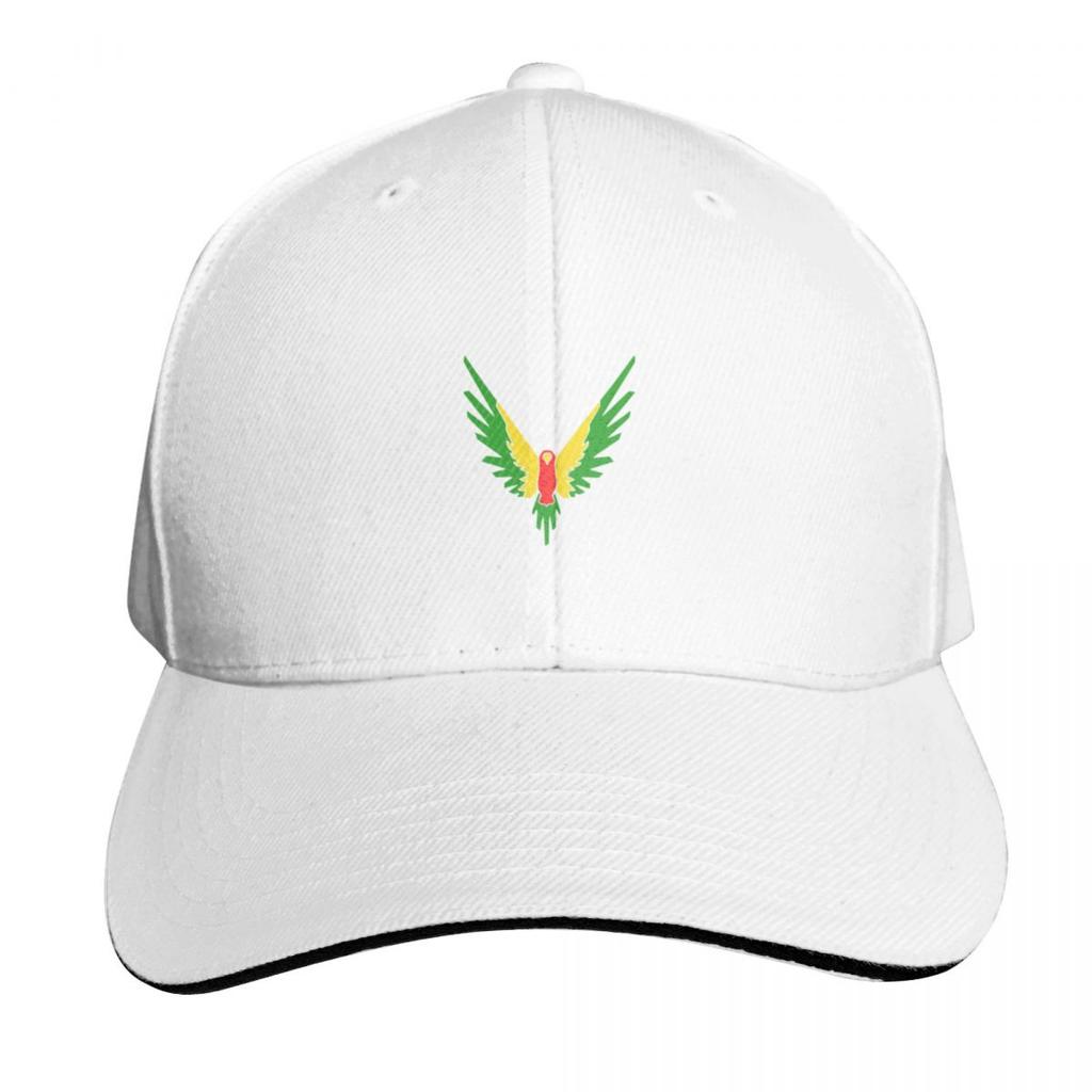 Logan Paul Baseball Cap Winter Hats for Unisex Designer Hat Black Vintage Boy Womens