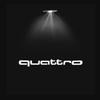 2Pcs Led Logo light Welcome Light HD For AUDI line S3 S4 RS S6 S5 S7 S8 A3 A4 A5 A6 A7 Q3 Q7 quattro Projector Shadow Ghost Lamp