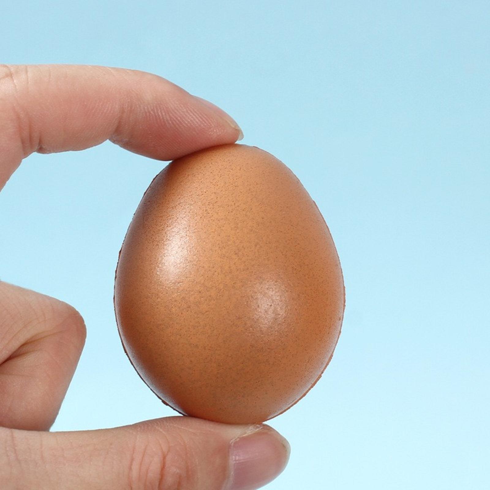 Decompression Kneading Toy,decompression Toy,Simulated Egg Shaped Decompression Toy One Size коричневый