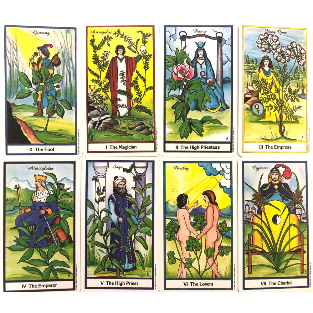 78 Tarot Cards Rider Edition Tarot Fortune Telling Japanese Instruction Manual Included [Herbal Tarot] [Genuine]