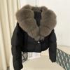 Winter New Women's Short Fashion Warm Down Jacket Small Foreign Style Oversized Real Fox Fur Collar Jacket